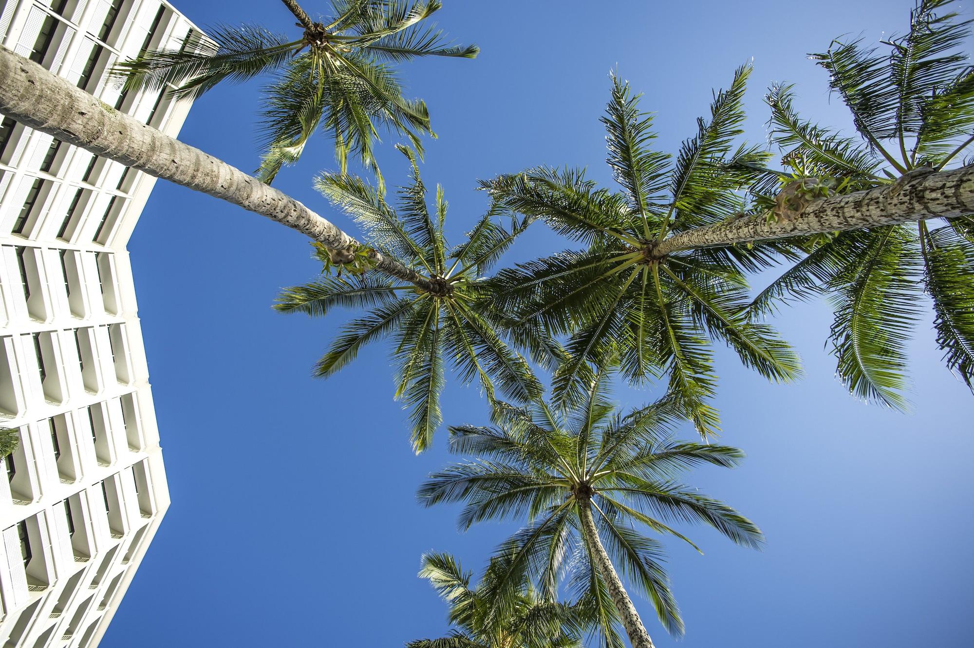 Rydges Esplanade Resort Cairns Dış mekan fotoğraf